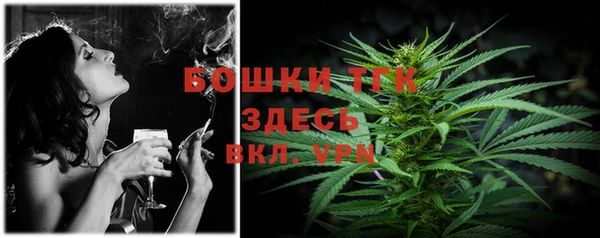 соль ск Алексеевка
