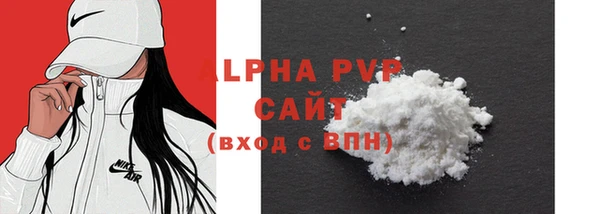 гашик Алексин