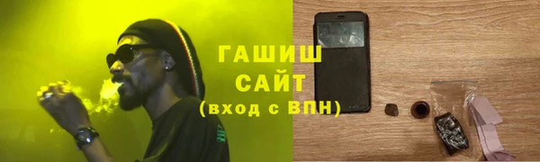 гашик Алексин