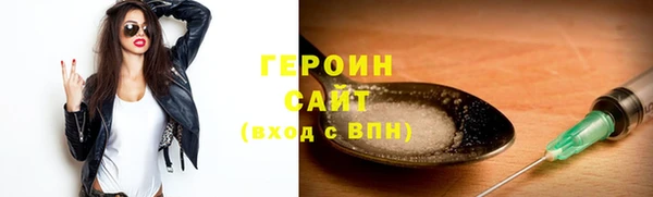 гашик Алексин