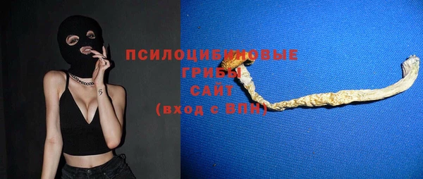 гашик Алексин